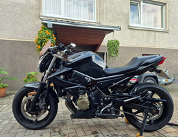 YAMAHA XJ 600, 2009 m.