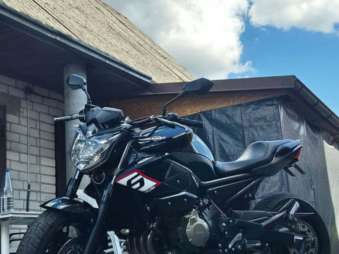 YAMAHA XJ 600, 2009 m. - 5/10