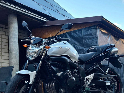 YAMAHA FZ 600, 2008 m. - 6/10