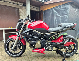 YAMAHA XJ 600, 2009 m.